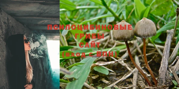 мескалин Протвино